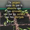 gonzalez_miguel
